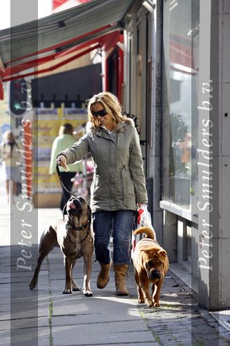 Amsterdam 11 oktober 2006
Tatjana met haar 2 honden aan het winkelen.
