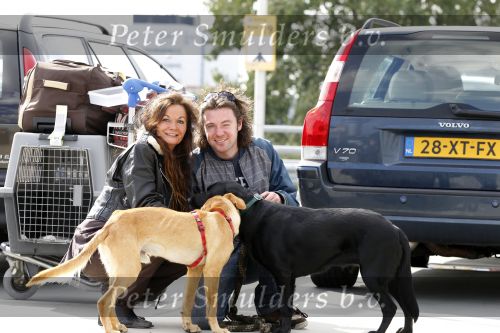 Schiphol 1 oktober 2010
Thierry Duval haalt zijn vriendin Belinda Meuldiejk en Joshi op op schiphol. Belinda heeft 2 verwaarloosde honden mee genomen uit spanje. 
Peter Smulders bv