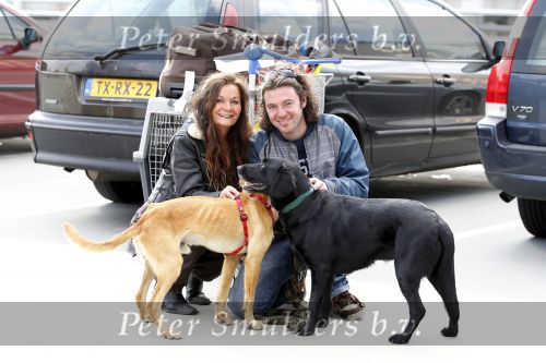 Schiphol 1 oktober 2010
Thierry Duval haalt zijn vriendin Belinda Meuldiejk en Joshi op op schiphol. Belinda heeft 2 verwaarloosde honden mee genomen uit spanje. 
Peter Smulders bv