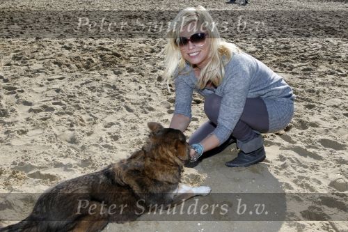Scheveningen 3 oktober 2010
Dogwalk georganiseerd door de stichting van Bridget Maasland .
Peter Smulders bv