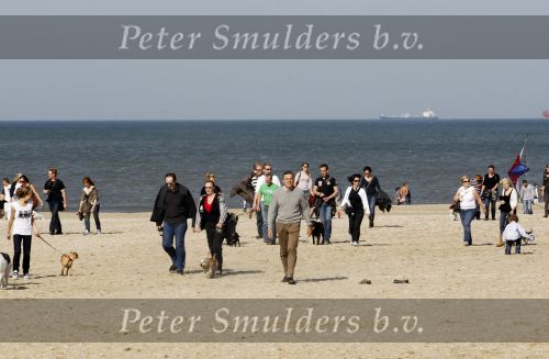Scheveningen 3 oktober 2010
Dogwalk georganiseerd door de stichting van Bridget Maasland .
Peter Smulders bv