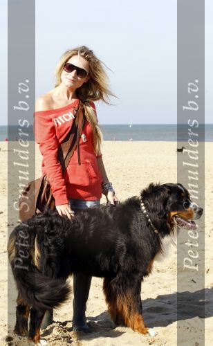 Scheveningen 3 oktober 2010
Dogwalk georganiseerd door de stichting van Bridget Maasland .Nikkie Plessen met hond
Peter Smulders bv
