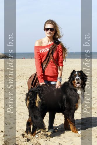 Scheveningen 3 oktober 2010
Dogwalk georganiseerd door de stichting van Bridget Maasland .Nikkie Plessen met hond
Peter Smulders bv