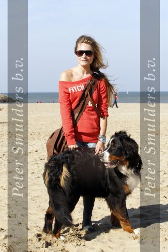 Scheveningen 3 oktober 2010
Dogwalk georganiseerd door de stichting van Bridget Maasland .Nikkie Plessen met hond
Peter Smulders bv