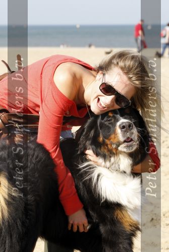 Scheveningen 3 oktober 2010
Dogwalk georganiseerd door de stichting van Bridget Maasland .Nikkie Plessen met hond
Peter Smulders bv