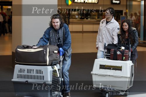 Schiphol 1 oktober 2010
Thierry Duval haalt zijn vriendin Belinda Meuldiejk en Joshi op op schiphol. Belinda heeft 2 verwaarloosde honden mee genomen uit spanje. 
Peter Smulders bv