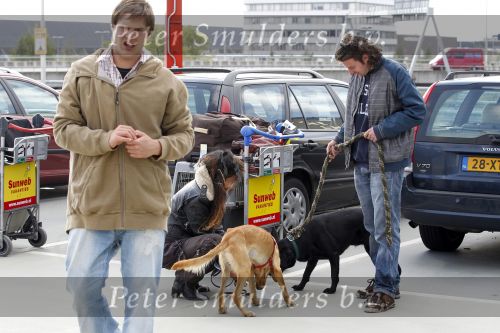 Schiphol 1 oktober 2010
Thierry Duval haalt zijn vriendin Belinda Meuldiejk en Joshi op op schiphol. Belinda heeft 2 verwaarloosde honden mee genomen uit spanje. 
Peter Smulders bv