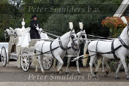 Amsterdam 14 oktober 2010
Begrafenis Marretje Heuckeroth , moeder van Gordon op de noorder begraafplaats. witte koets
Peter Smulders bv
