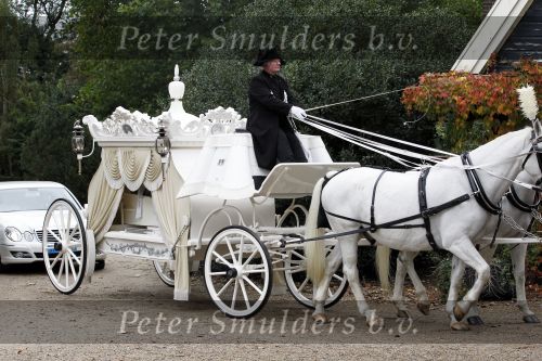 Amsterdam 14 oktober 2010
Begrafenis Marretje Heuckeroth , moeder van Gordon op de noorder begraafplaats. witte koets
Peter Smulders bv