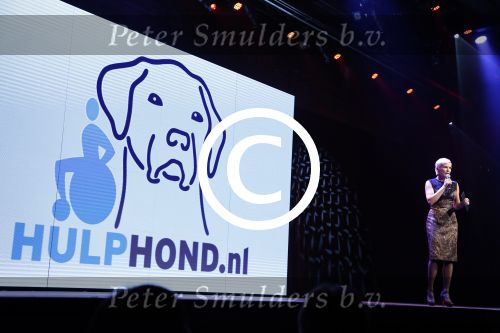 Hilversum 10 oktyober 2012
Gala voor stichting hulphond in studio 21. Anita Witzier
Peter Smulders bv