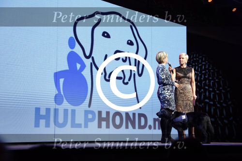 Hilversum 10 oktyober 2012
Gala voor stichting hulphond in studio 21. Anita Witzier
Peter Smulders bv