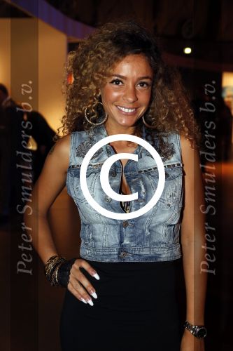 Amsterdam 13 oktober 2012
VIP avond LAF beurs bij westergasfabriek. fajah Lourens
Peter Smulders bv