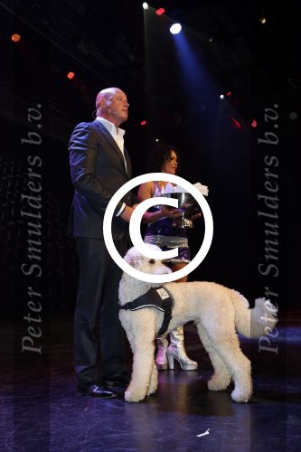 Hilversum 10 oktyober 2012
Gala voor stichting hulphond in studio 21. Frits Wester met vrouw en een puppy
Peter Smulders bv