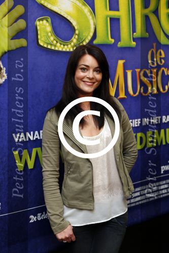 Amsterdam 19 september 2012
Presentatie musical Shrek met Paul Groot Kim Lian v d Meij Rogier Komproe en William Spaaij. Produyktie van Albert Verlinden.
Peter Smulder bv