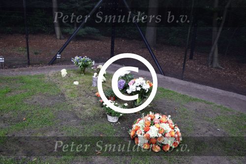Lage Vuursche 25 september 2013
Het graf van prins Friso met bloemen er op op zijn verjaardag