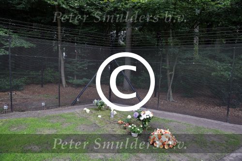 Lage Vuursche 25 september 2013
Het graf van prins Friso met bloemen er op op zijn verjaardag
