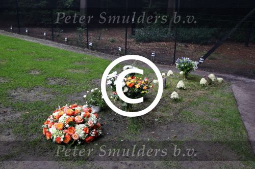 Lage Vuursche 25 september 2013
Het graf van prins Friso met bloemen er op op zijn verjaardag