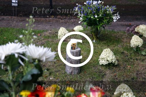 Lage Vuursche 25 september 2013
Het graf van prins Friso met bloemen er op op zijn verjaardag