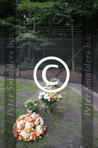 Lage Vuursche 25 september 2013
Het graf van prins Friso met bloemen er op op zijn verjaardag