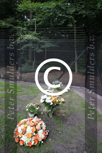 Lage Vuursche 25 september 2013
Het graf van prins Friso met bloemen er op op zijn verjaardag