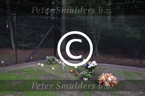 Lage Vuursche 25 september 2013
Het graf van prins Friso met bloemen er op op zijn verjaardag