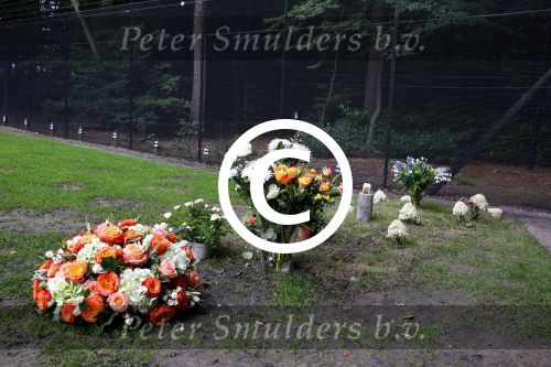 Lage Vuursche 25 september 2013
Het graf van prins Friso met bloemen er op op zijn verjaardag