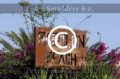 ibiza 26 september 2014
Trouwen Patty Brard en Antoine de Vijver bij babylon beach op ibiza.