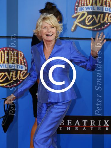 Utrecht 21 september 2014
Premiere moeder ik wil bij de revue in het beatrixtheater.
Martine Bijl en Berend Boudewijn