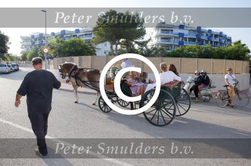 ibiza 26 september 2014
Trouwen Patty Brard en Antoine de Vijver bij babylon beach op ibiza.