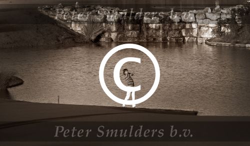 Vilamoura 10-11-12 Oktober 2014
Portugal Masters op GC Victoria
Vanwege de zware regenval gereduceerd van 72 naar 36 Holes
Robert Jan Derksen
Foto Peter Smulders BV