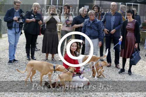 Baarn 4 oktober 2015
Presentatie boek Belinda Meuldijk in kasteel Groeneveld.
Aanwezig Thierry Duval Rob de Nijs Henriette de Nijs Julis Joshi en Robert.
Willeke Alberti krijgt het eerste boek.