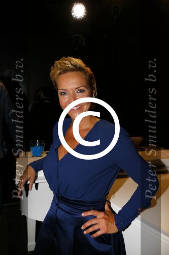 Amsterdam 6 oktober 2015 
Presentatie zangers musicals in concert in het ziggo dome. De aanwezigen waren Anouk Maas B Brave Stanley Burleson Mariska v Kolck Simone Kleinsma William Spaaij Eric v Tijn Rene v Kooten en Maurice Wijnen.
