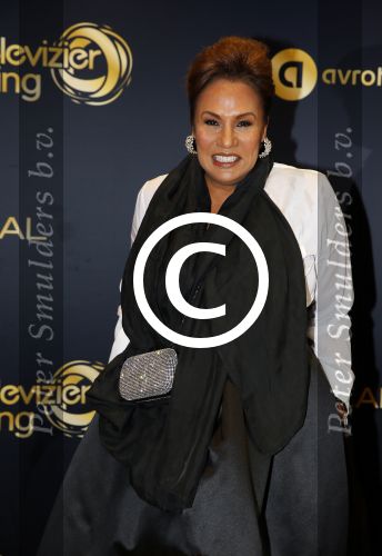 Amsterdam 15 oktober 2015
Uitreiking van de 50e televizierring in carre. Patty Brard