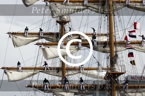 Amsterdam 19 Augustus 2015
Sail Amsterdam 2015