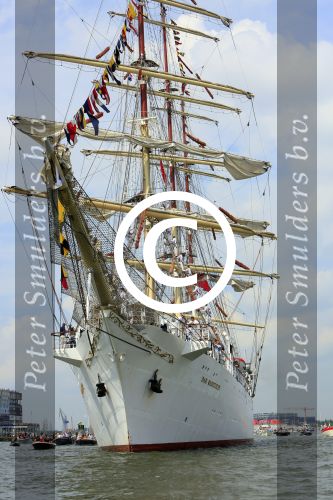 Amsterdam 19 Augustus 2015
Sail Amsterdam 2015