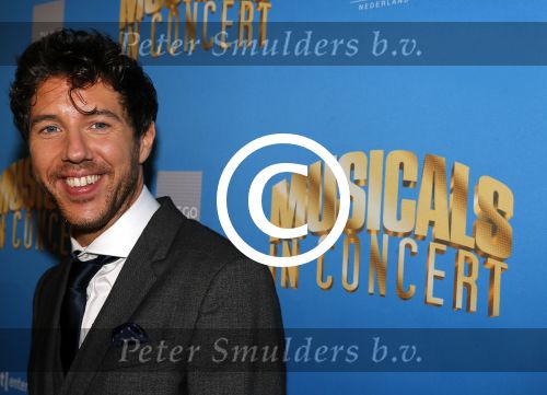 Amsterdam 6 oktober 2015 
Presentatie zangers musicals in concert in het ziggo dome. De aanwezigen waren Anouk Maas B Brave Stanley Burleson Mariska v Kolck Simone Kleinsma William Spaaij Eric v Tijn Rene v Kooten en Maurice Wijnen.