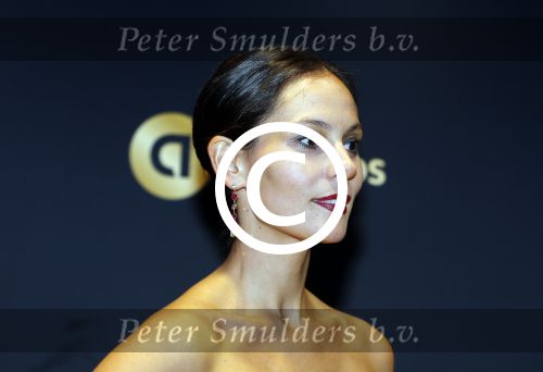 Amsterdam 15 oktober 2015
Uitreiking van de 50e televizierring in carre.