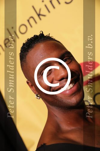Aalsmeer, 20 September 2016
Persvoorstelling The Lion King
David Consalves