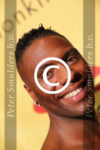 Aalsmeer, 20 September 2016
Persvoorstelling The Lion King
David Consalves
