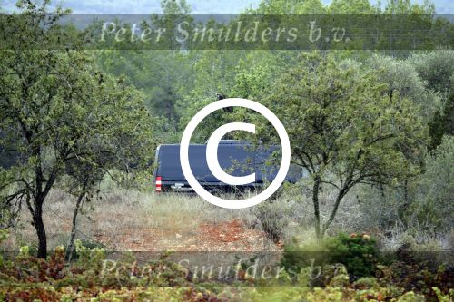 Ibiza 24 september 2016
Trouwen Gigi Ravelli en Roger Hodenius op ibiza . Ze trouwenni zuin huis/finca.