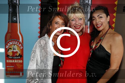 Amsterdam 15 september 2016
Presentatie produkten van manuela Kemp op het Veronica schip. Lois lane , Monique en Suzan Klemann