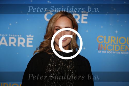 Amsterdam 21 september 2017
The Curious Incident of the Dog in the Night premiere in Carre. Anouk Maas