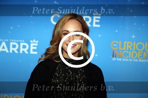 Amsterdam 21 september 2017
The Curious Incident of the Dog in the Night premiere in Carre. Anouk Maas