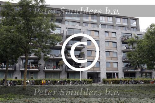 Amsterdam 25 september 2017 
Dirk Zeelenberg wordt in zijn huis geinterviewd door Catherine Keyl