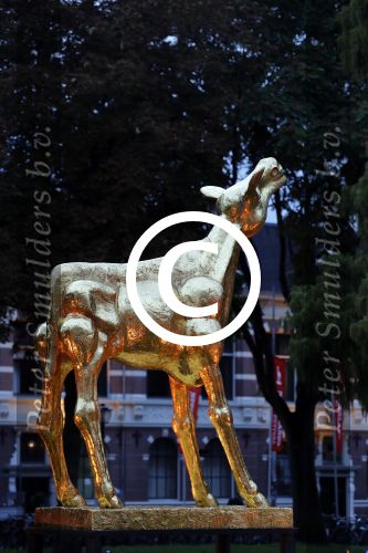Utrecht 29 september 2017
Uitreiking gouden kalveren in de schouwburg van Utrecht
