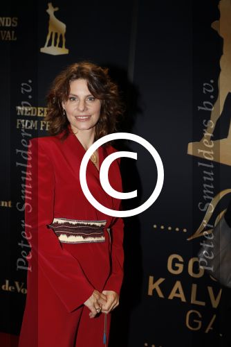 Utrecht 29 september 2017
Uitreiking gouden kalveren in de schouwburg van Utrecht. Rifka Lodeizen en partner Caspar Weijers