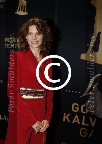 Utrecht 29 september 2017
Uitreiking gouden kalveren in de schouwburg van Utrecht. Rifka Lodeizen en partner Caspar Weijers