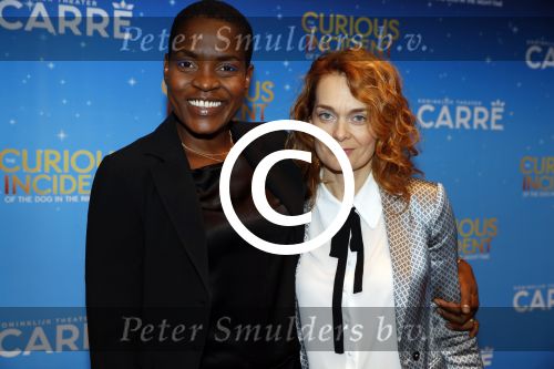 Amsterdam 21 september 2017
The Curious Incident of the Dog in the Night premiere in Carre. Romana Vrede met vriendin