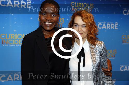 Amsterdam 21 september 2017
The Curious Incident of the Dog in the Night premiere in Carre. Romana Vrede met vriendin