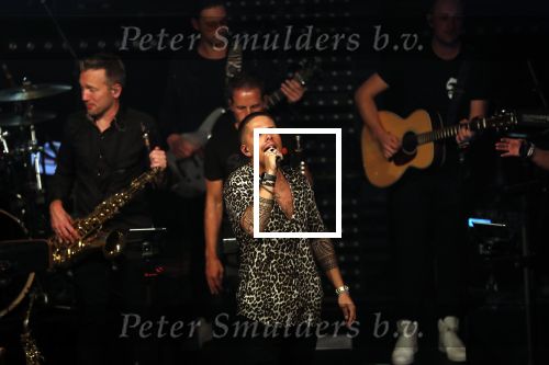 Amsterdam 27 september 2018
Presentatie nieuwe cd Andre Hazes in panama.